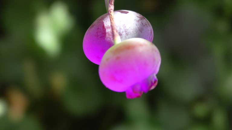 Read more about the article Jaki jest idealny związek