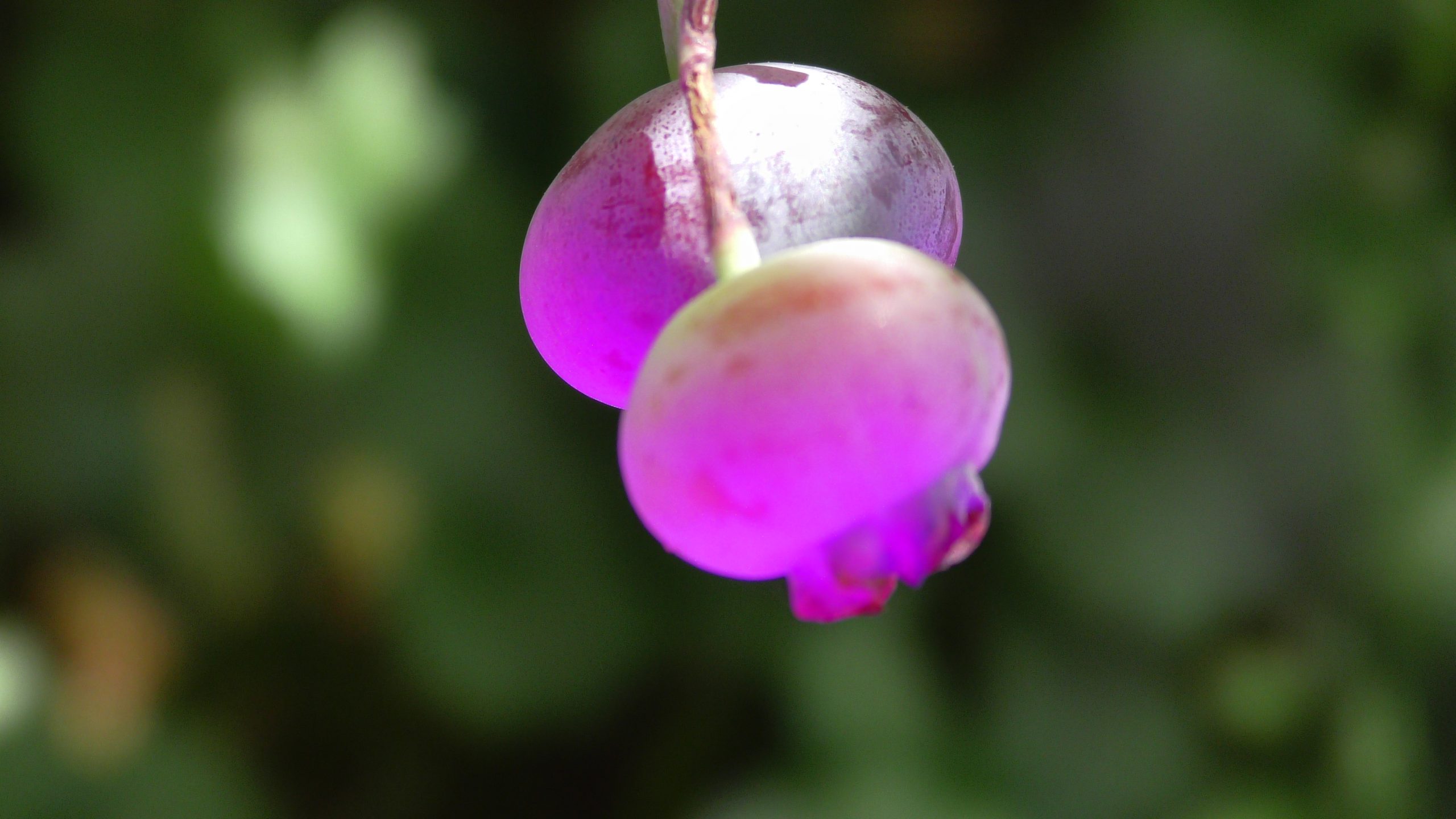 Read more about the article Jaki jest idealny związek