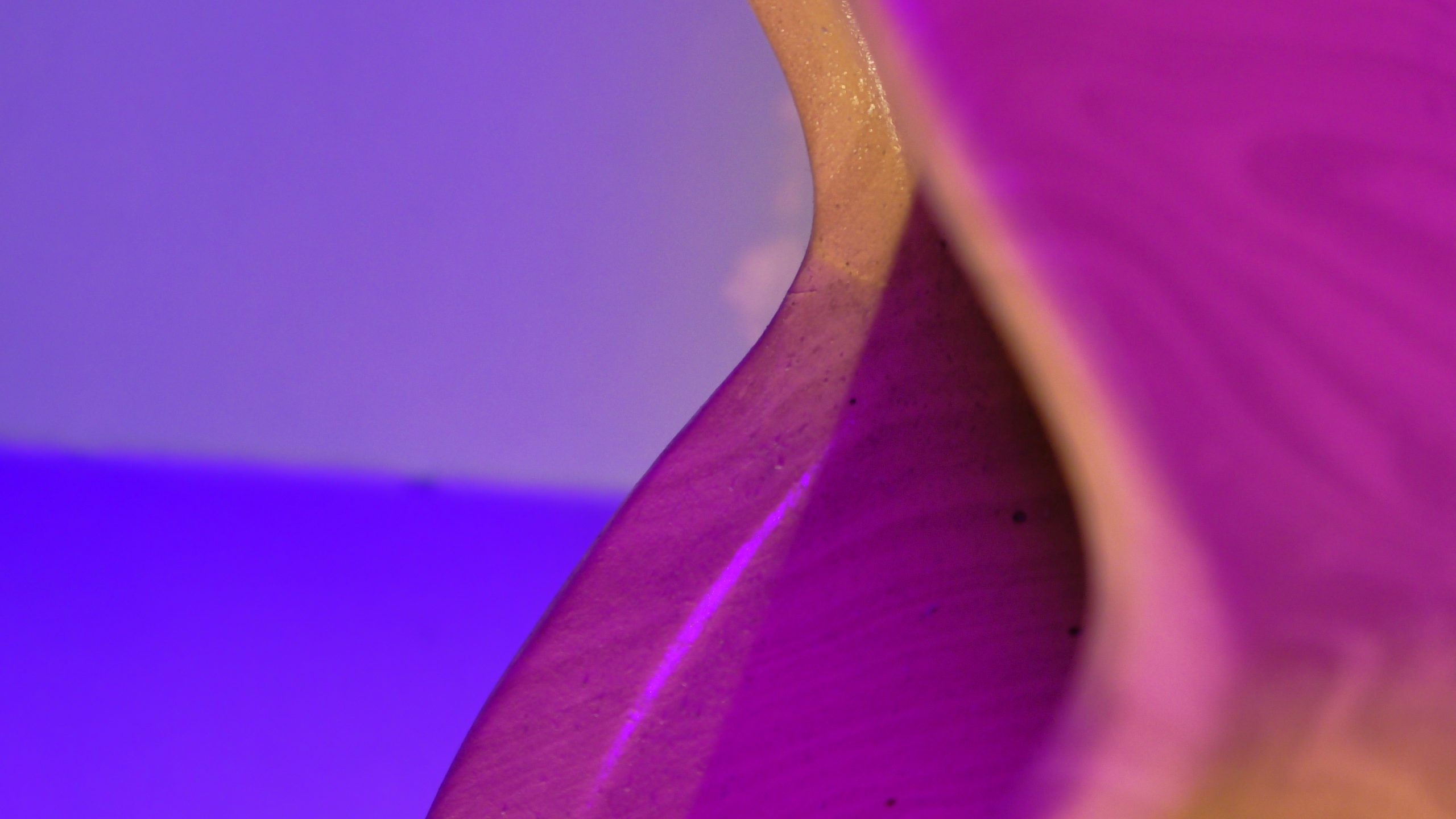 Read more about the article STYL ŻYCIA